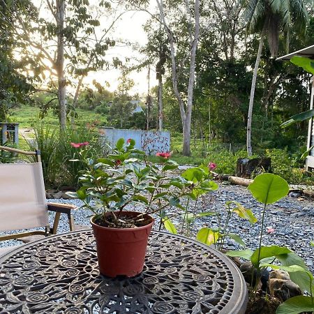 Kebun Lisdtari Farmstay アイル・ハンガッ エクステリア 写真